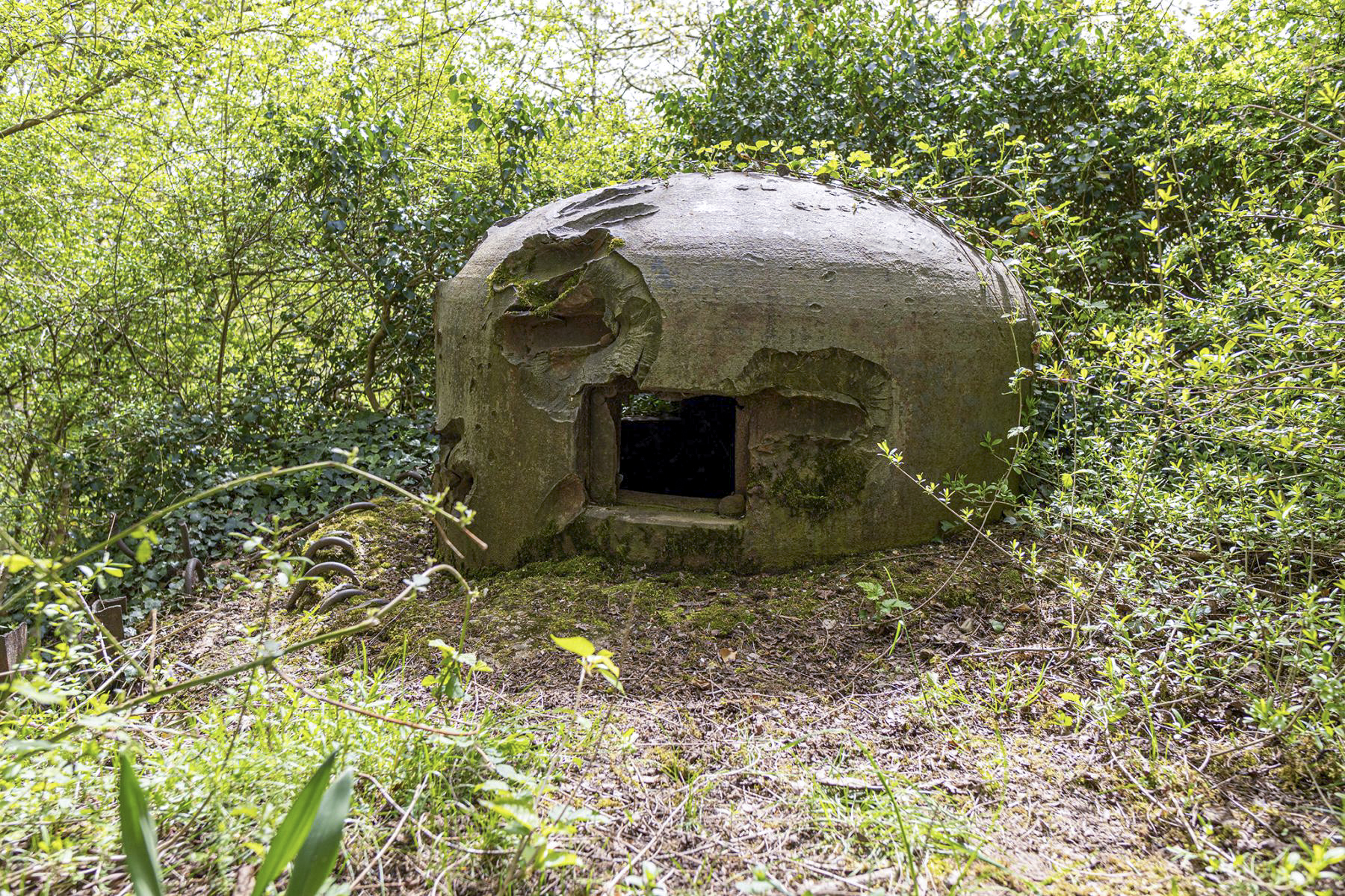 Ligne Maginot - HOFFEN - (Casemate d'infanterie - Simple) - Cloche GFM - David Palmer