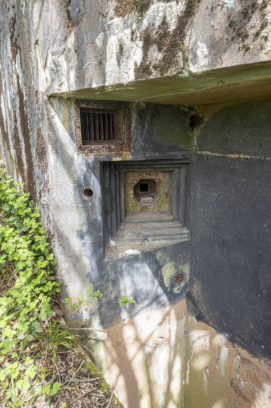 Ligne Maginot - BOIS DE HOFFEN EST - O3 - (Casemate d'infanterie - Simple) - Créneaux FM 24/29 - David Palmer