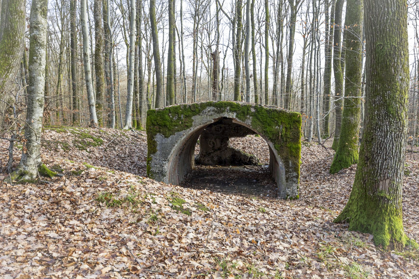 Ligne Maginot - LA GRANDE ALMETTE - (PC) - L'abri  - Lenhard Christian