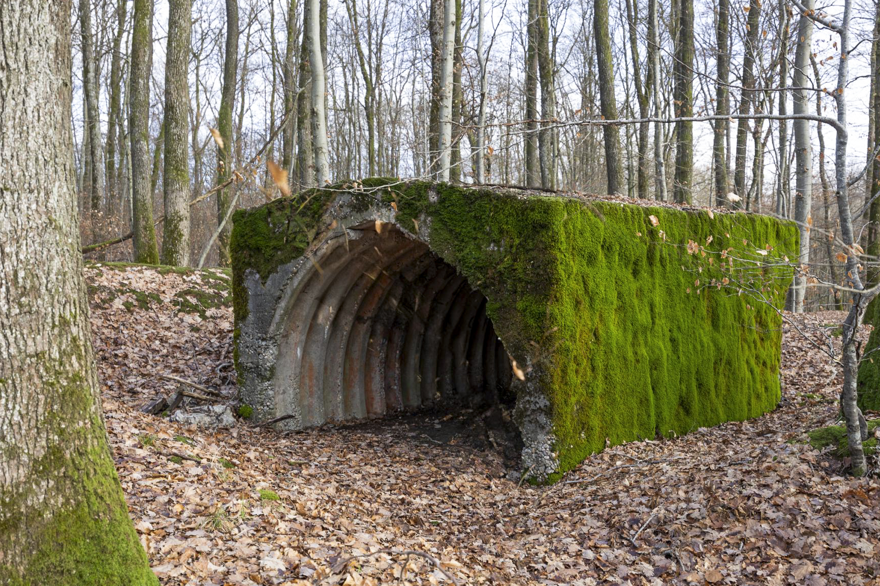 Ligne Maginot - LA GRANDE ALMETTE - (PC) - L'abri  - Lenhard Christian
