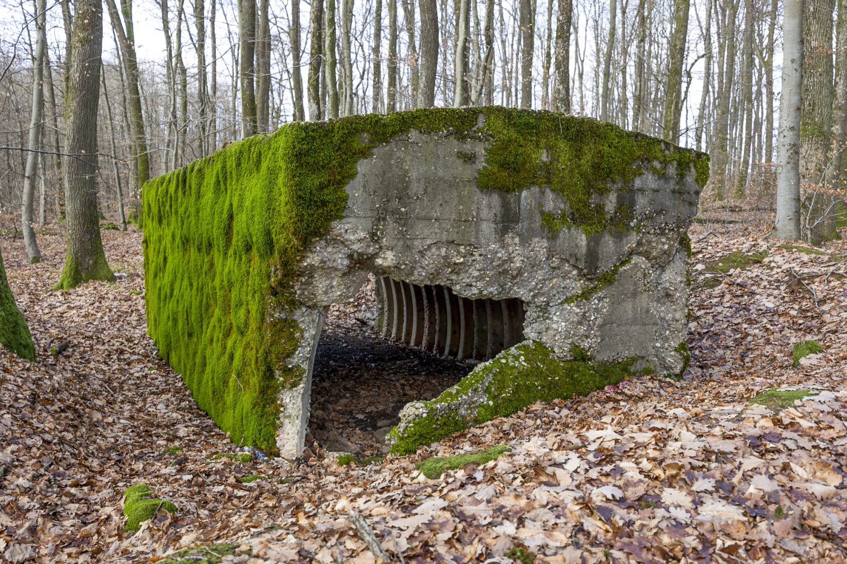 Ligne Maginot - LA GRANDE ALMETTE - (PC) - L'abri  - Lenhard Christian