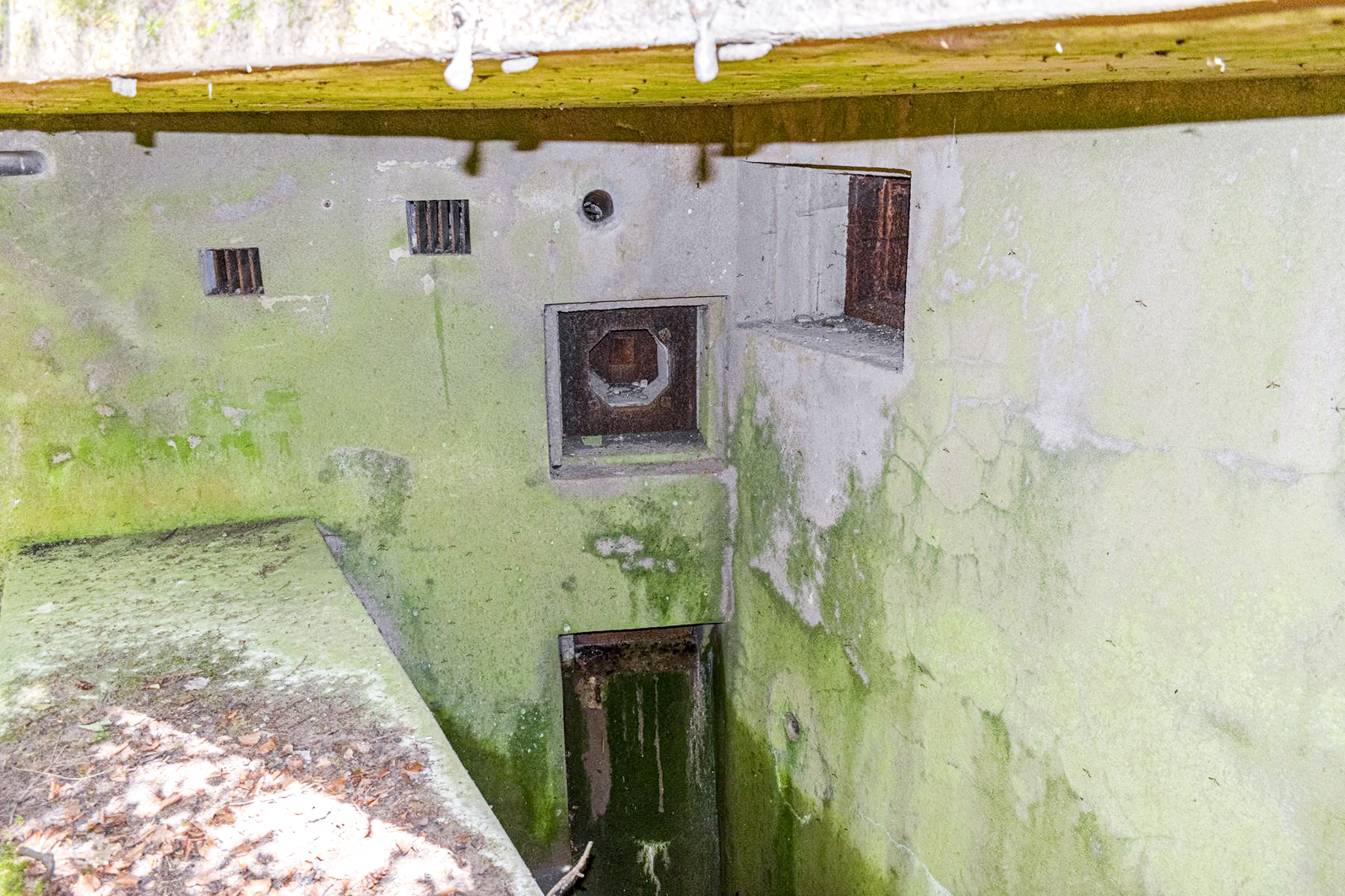 Ligne Maginot - DRACHENBRONN NORD OUEST - (Casemate d'infanterie - Simple) -  - David Palmer