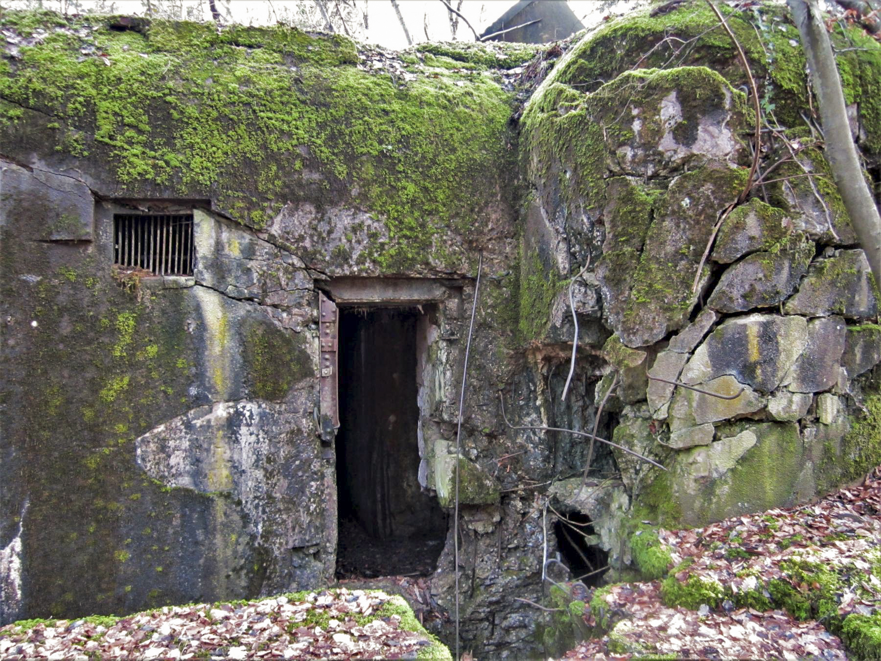 Ligne Maginot - DRACHENBRONN NORD OUEST - (Casemate d'infanterie) - L'entrée et la caponnière FM détruite  - Gregory Fuchs