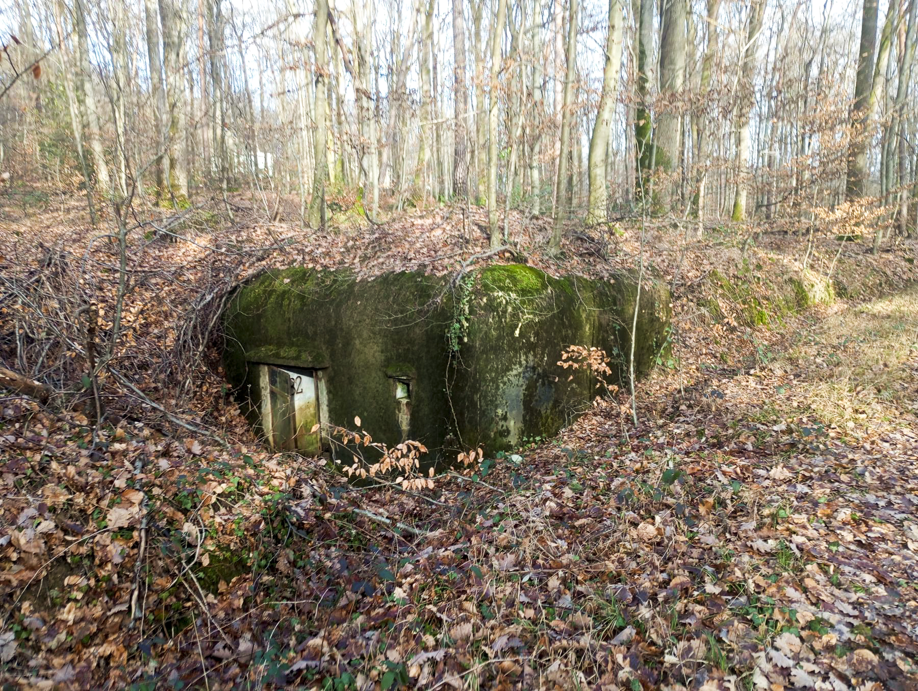 Ligne Maginot - 82 - (Chambre de coupure) - Vue générale - HEYD Maxime
