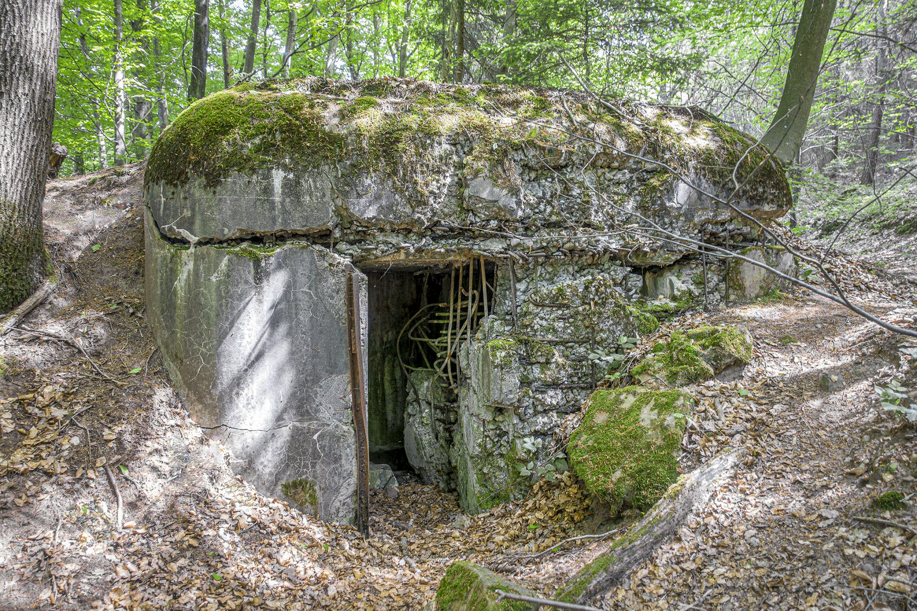 Ligne Maginot - 81 - (Chambre de coupure) -  - David Palmer