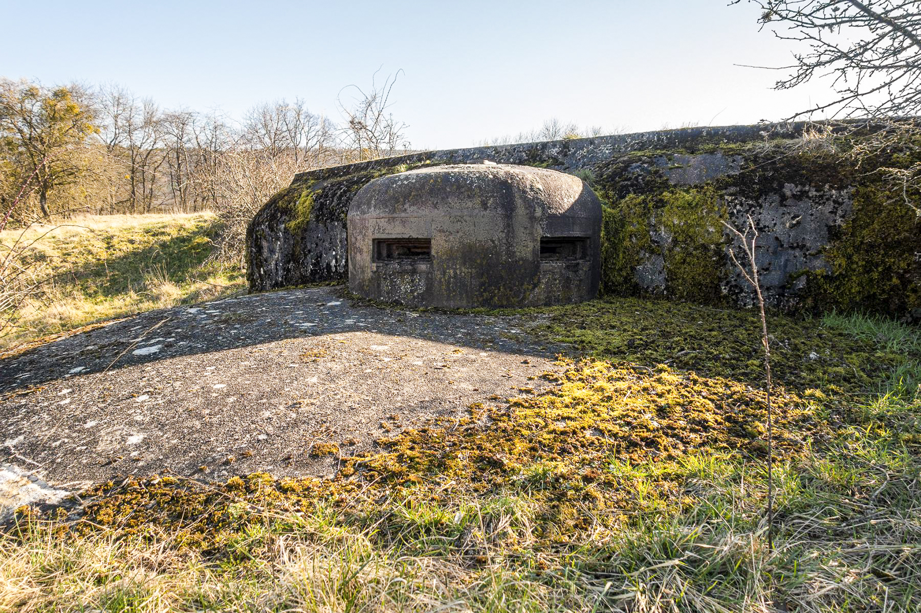 Ligne Maginot - FOUR A CHAUX - FAC - (Ouvrage d'artillerie) - Bloc 6
Cloche VDP - David Palmer