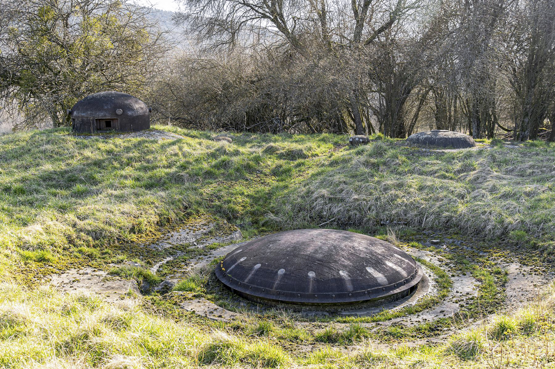 Ligne Maginot - FOUR A CHAUX - FAC - (Ouvrage d'artillerie) - Bloc 3
Vue d'ensemble - David Palmer