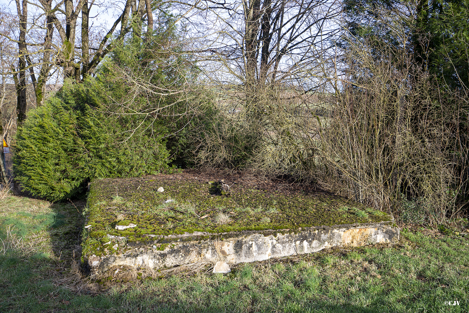 Ligne Maginot - DB304 - (Blockhaus pour canon) - Seul le toit est visible - Lia VERMEULEN