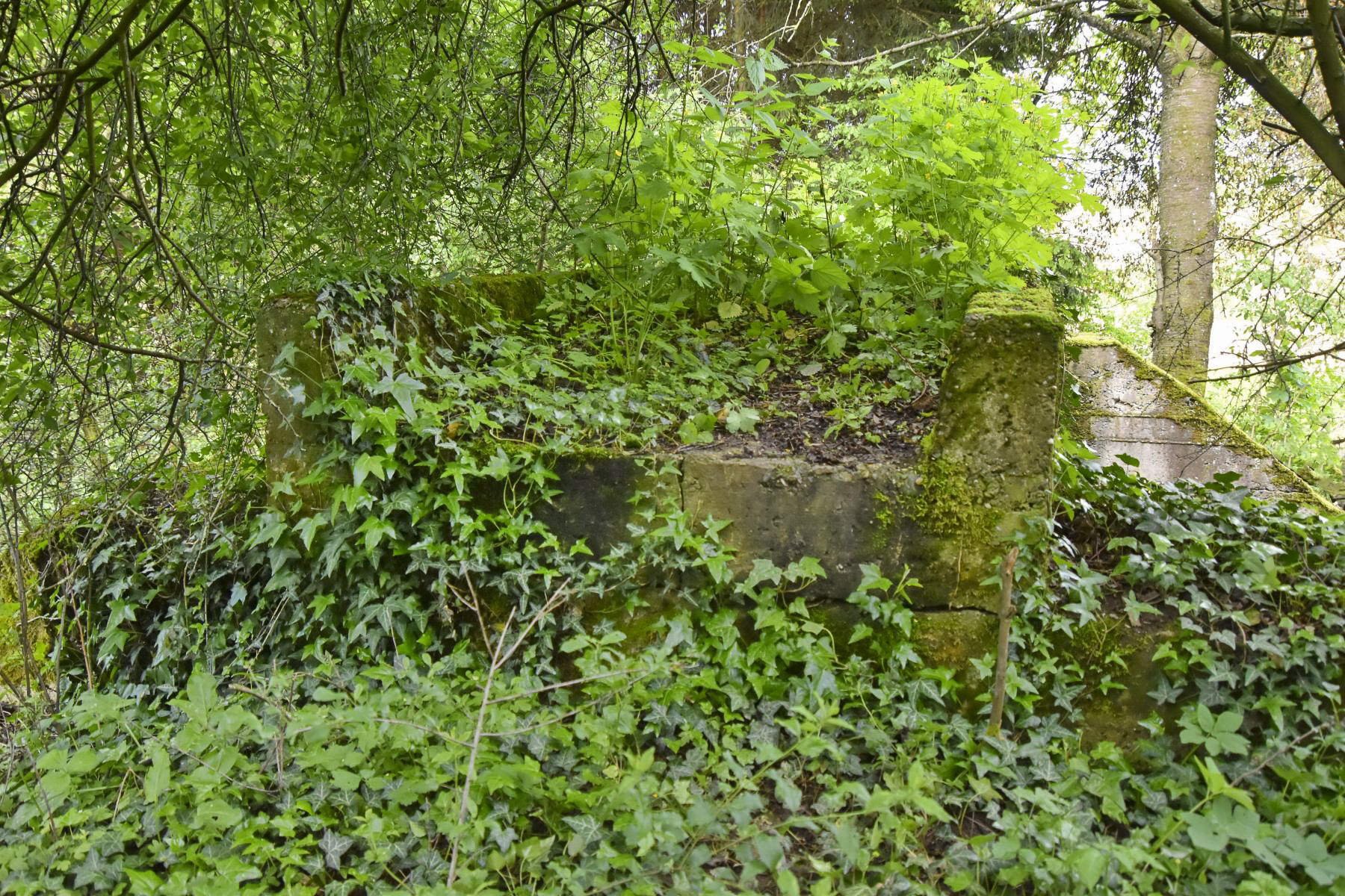 Ligne Maginot - VF60 - ANTENNE DE L'OUVRAGE DE SCHOENENBOURG - (RESEAU - Voie 60 - Antenne ou rocade ferroviaire) - 22 - PONT sur le BIRLENBAECHEL
Le tablier vu du sud. - Daniel Froehly