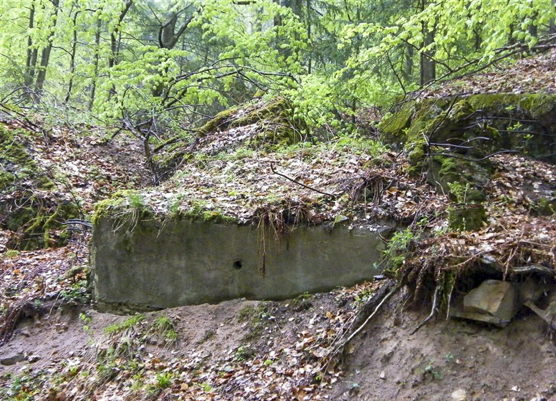 Ligne Maginot - B20-A HINTERWALD OUEST - (Blockhaus pour canon) -  - Jean-Louis AUBLET & Sylvie MAINGUIN