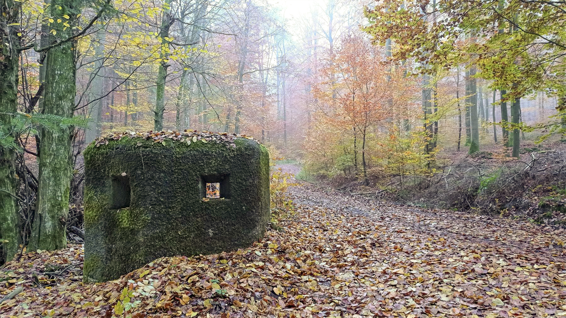 Ligne Maginot - FM6 - ZIEGELMATT - (Blockhaus pour arme infanterie) - Façade frontale - Baptiste GAUDIN