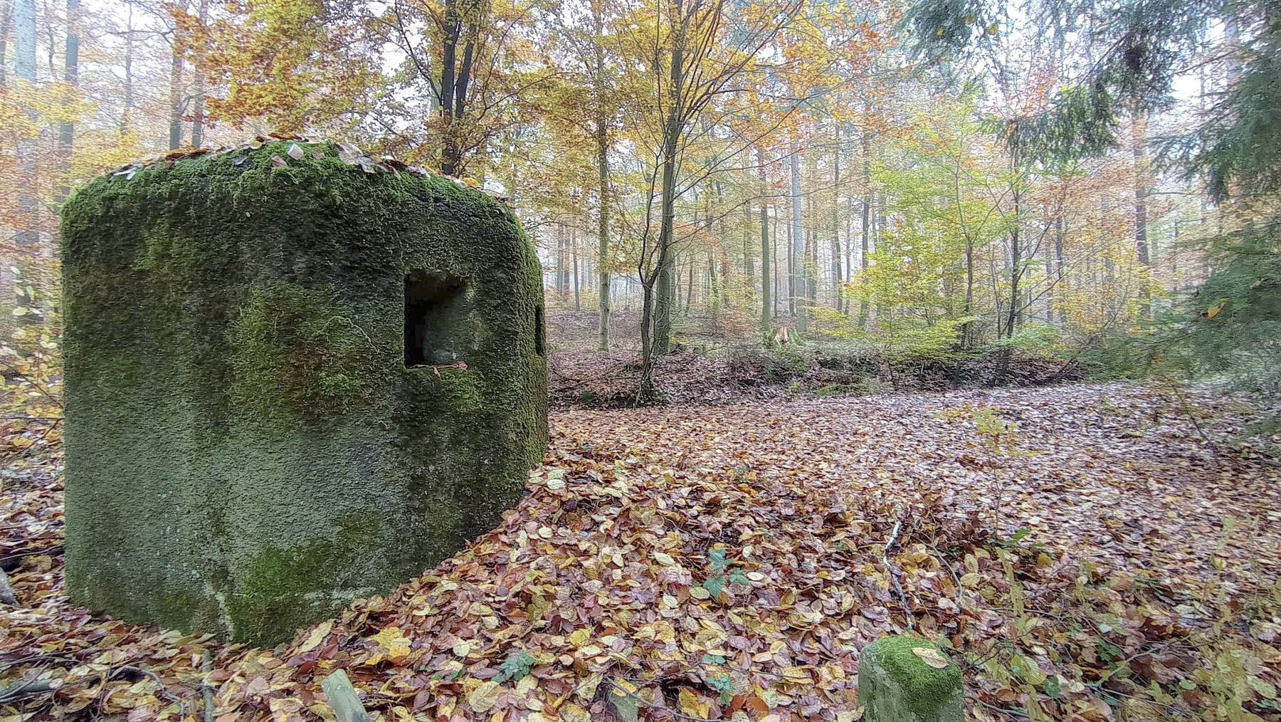 Ligne Maginot - FM6 - ZIEGELMATT - (Blockhaus pour arme infanterie) - Les deux créneaux - Baptiste GAUDIN
