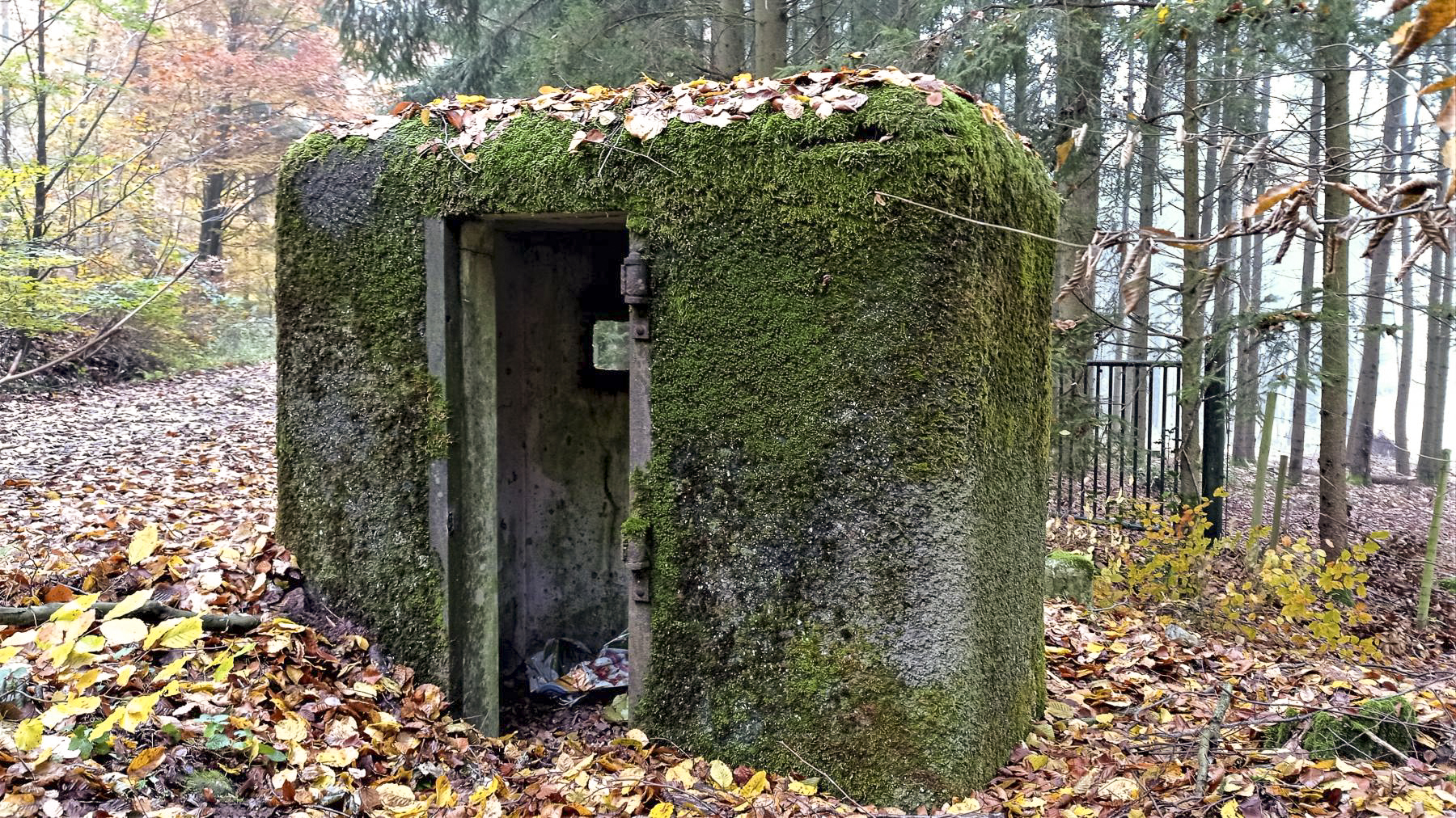 Ligne Maginot - FM6 - ZIEGELMATT - (Blockhaus pour arme infanterie) - L'entrée   - Baptiste GAUDIN