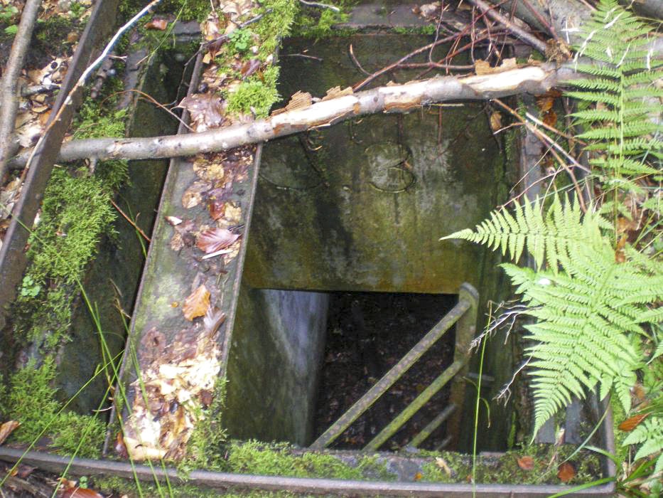 Ligne Maginot - G3 ( Chambre de coupure ) -  - donceuh