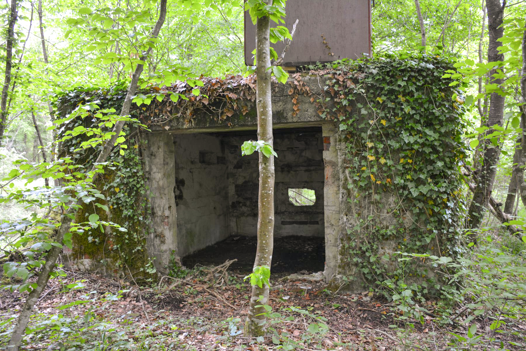 Ligne Maginot - GRUENDEL 4 - (Blockhaus pour canon) - L'entrée pour la pièce antichar - Pascal Lambert