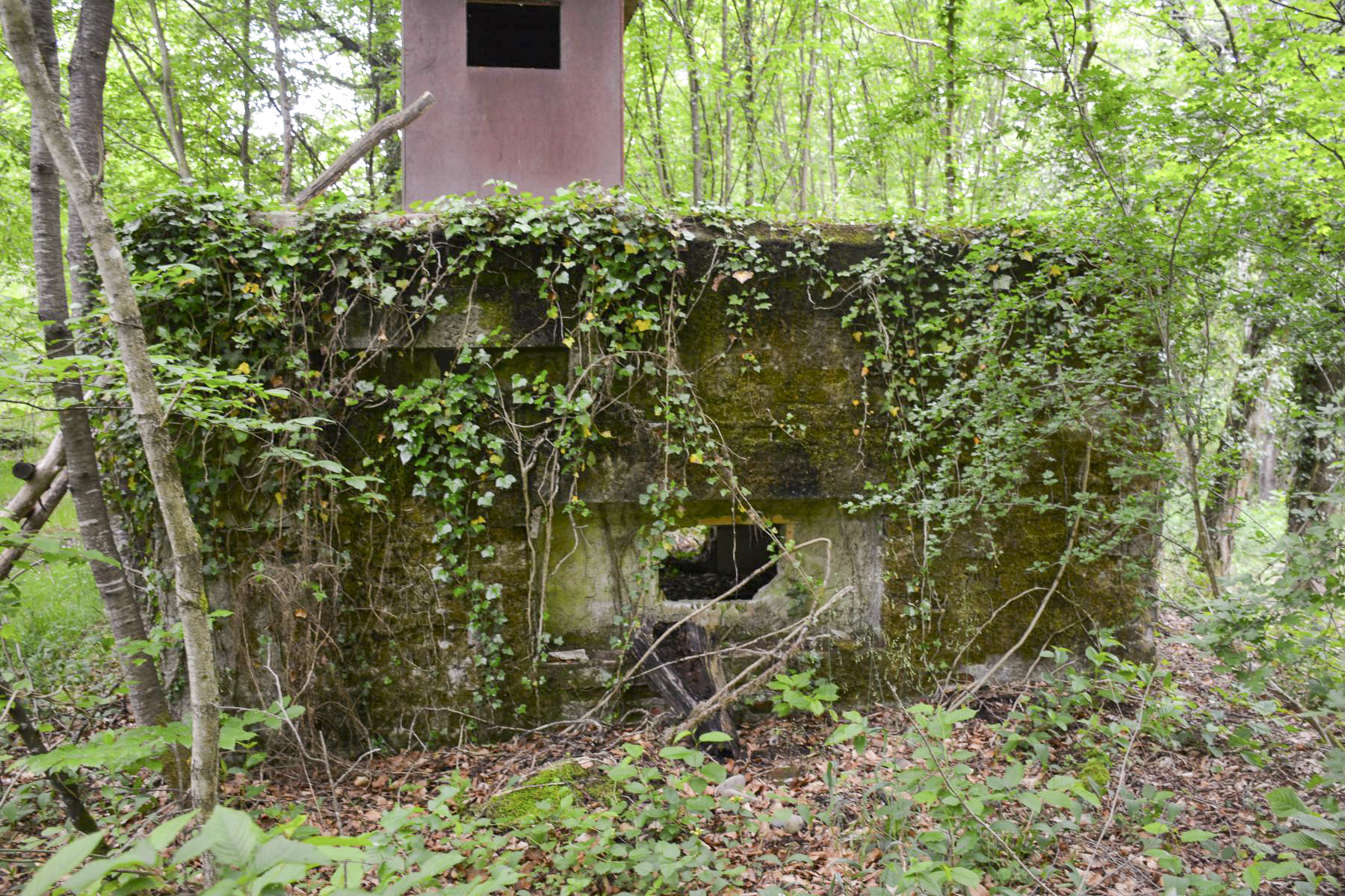Ligne Maginot - GRUENDEL 4 - (Blockhaus pour canon) - Le créneau antichar et, au dessus à gauche, un second créneau d'usage non défini. - Pascal Lambert