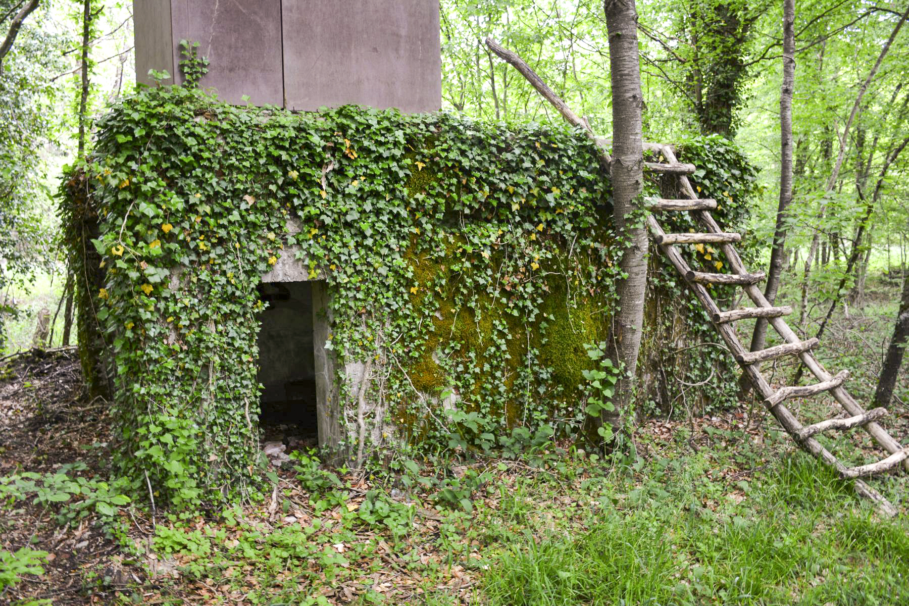 Ligne Maginot - GRUENDEL 4 - (Blockhaus pour canon) - L'entrée pour le personnel - Pascal Lambert