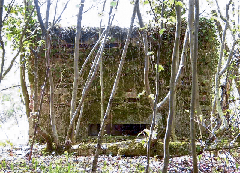 Ligne Maginot - GRUENDEL 3 - (Blockhaus pour arme infanterie) -  - Jean-Louis AUBLET & Sylvie MAINGUIN