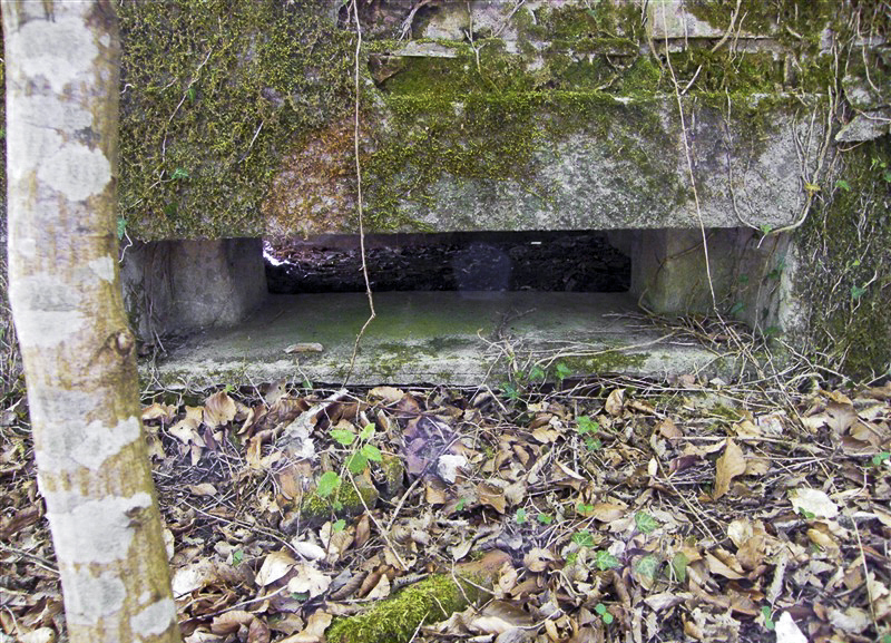 Ligne Maginot - GRUENDEL 3 - (Blockhaus pour arme infanterie) -  - Jean-Louis AUBLET & Sylvie MAINGUIN