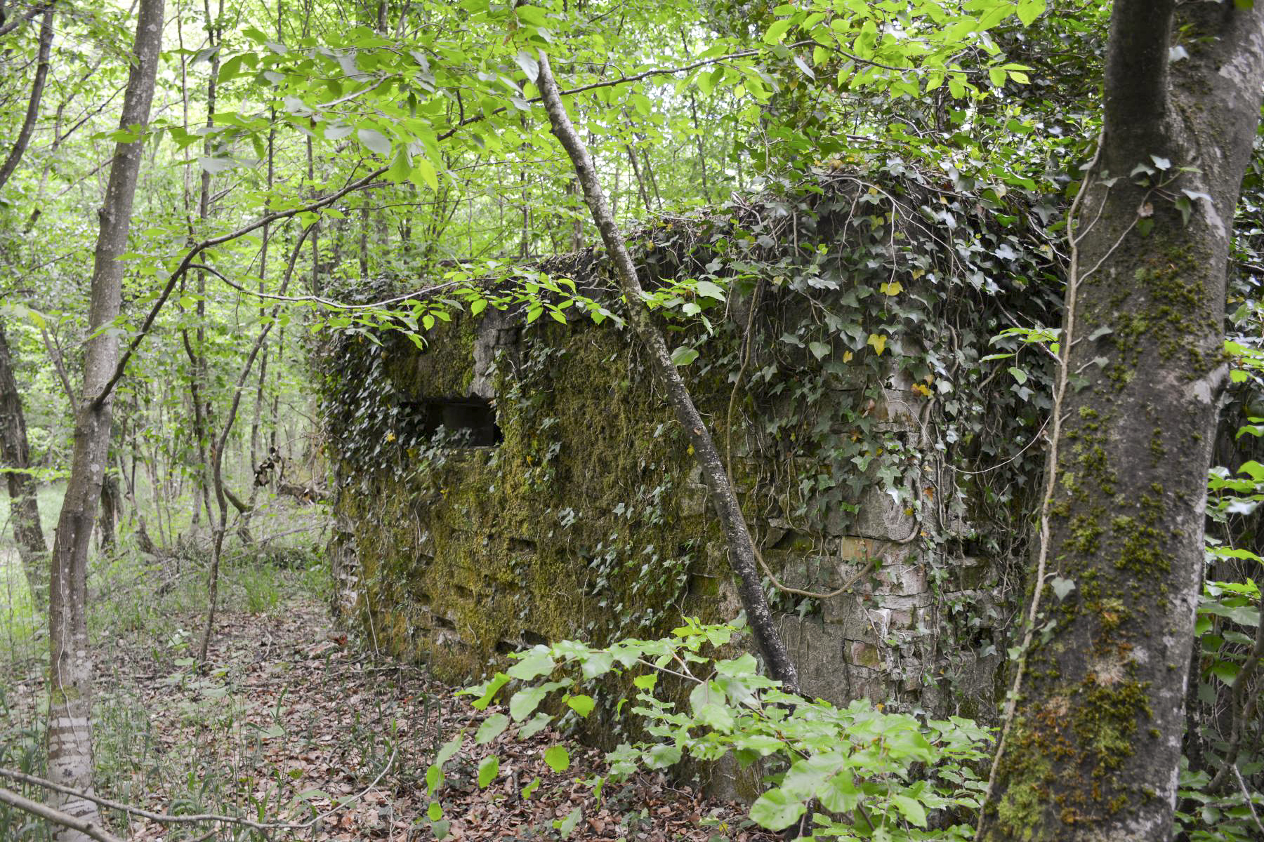 Ligne Maginot - GRUENDEL 3 - (Blockhaus pour arme infanterie) - Un second créneau latéral ou un orifice de ventilation ? - Pascal Lambert
