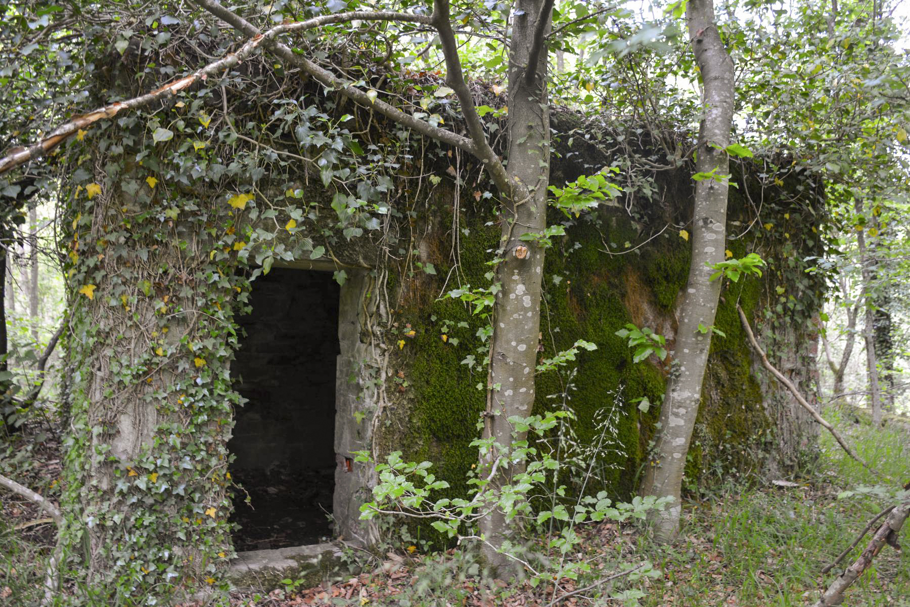Ligne Maginot - GRUENDEL 3 - (Blockhaus pour arme infanterie) - L'accès pour le personnel - Pascal Lambert