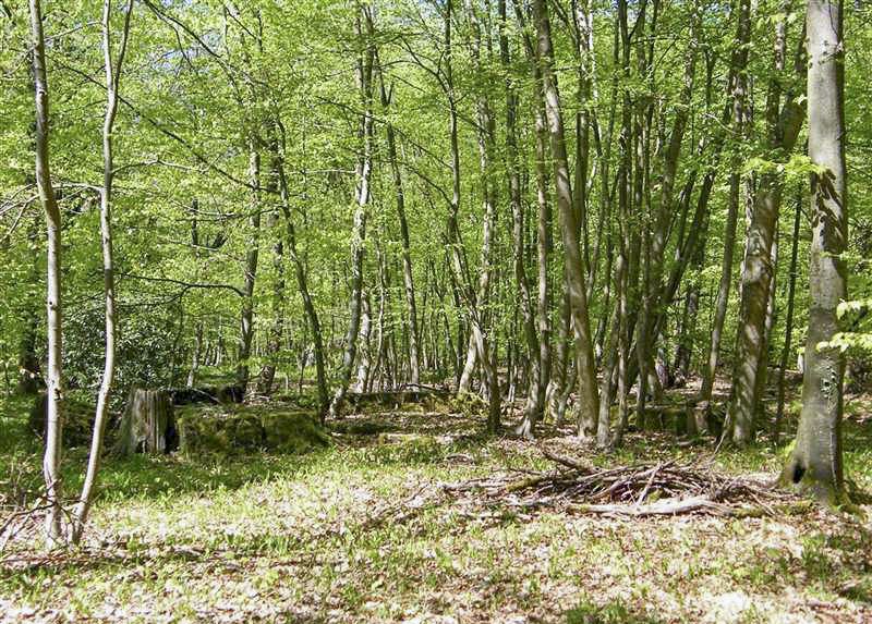 Ligne Maginot - GRUENDEL 2 - (Blockhaus de type indéterminé) -  - Jean-Louis AUBLET & Sylvie MAINGUIN