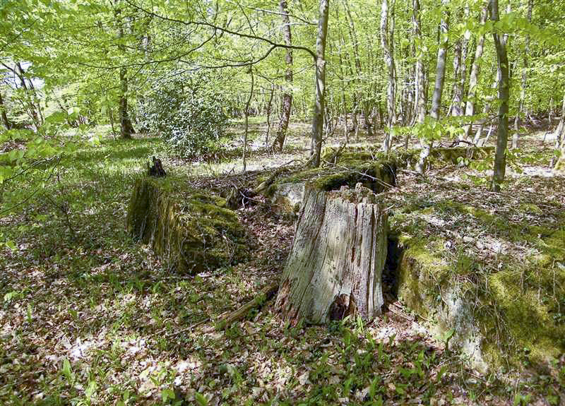 Ligne Maginot - GRUENDEL 2 - (Blockhaus de type indéterminé) -  - Jean-Louis AUBLET & Sylvie MAINGUIN