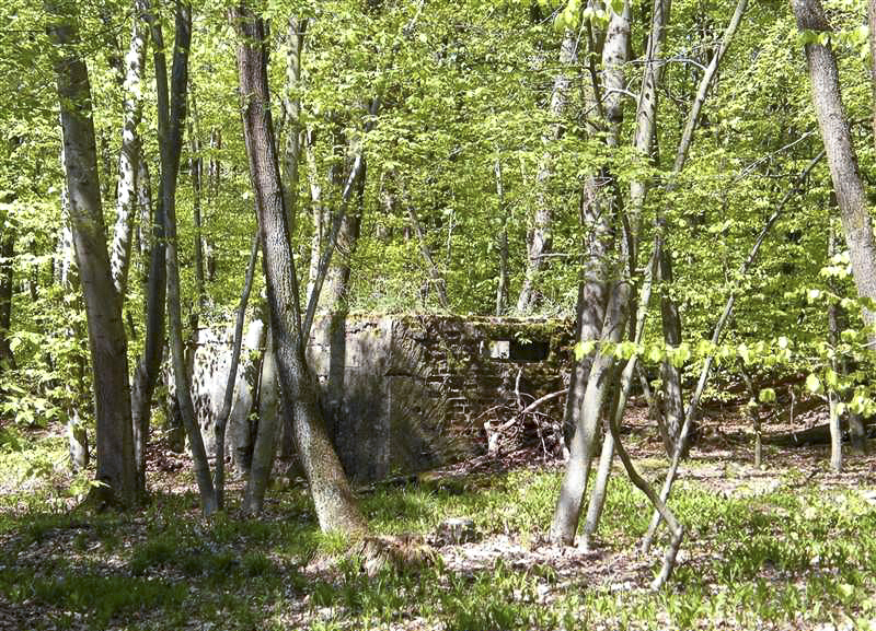 Ligne Maginot - GRUENDEL 1 - (Blockhaus pour arme infanterie) -  - Jean-Louis AUBLET & Sylvie MAINGUIN