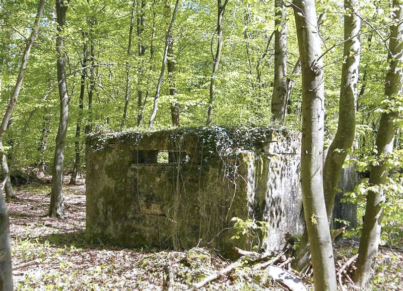 Ligne Maginot - GRUENDEL 1 - (Blockhaus pour arme infanterie) -  - Jean-Louis AUBLET & Sylvie MAINGUIN