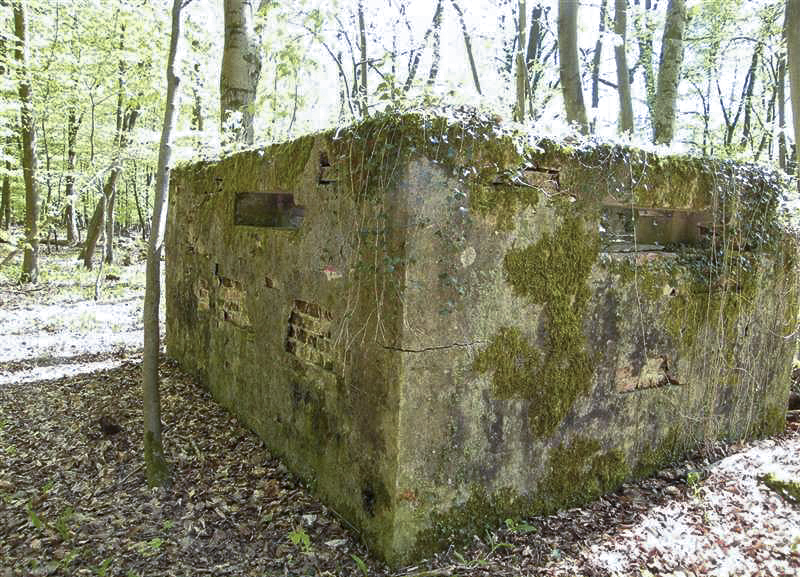Ligne Maginot - GRUENDEL 1 - (Blockhaus pour arme infanterie) -  - Jean-Louis AUBLET & Sylvie MAINGUIN