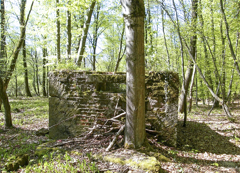 Ligne Maginot - GRUENDEL 1 - (Blockhaus pour arme infanterie) -  - Jean-Louis AUBLET & Sylvie MAINGUIN