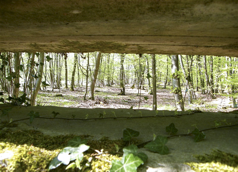 Ligne Maginot - GRUENDEL 1 - (Blockhaus pour arme infanterie) -  - Jean-Louis AUBLET & Sylvie MAINGUIN
