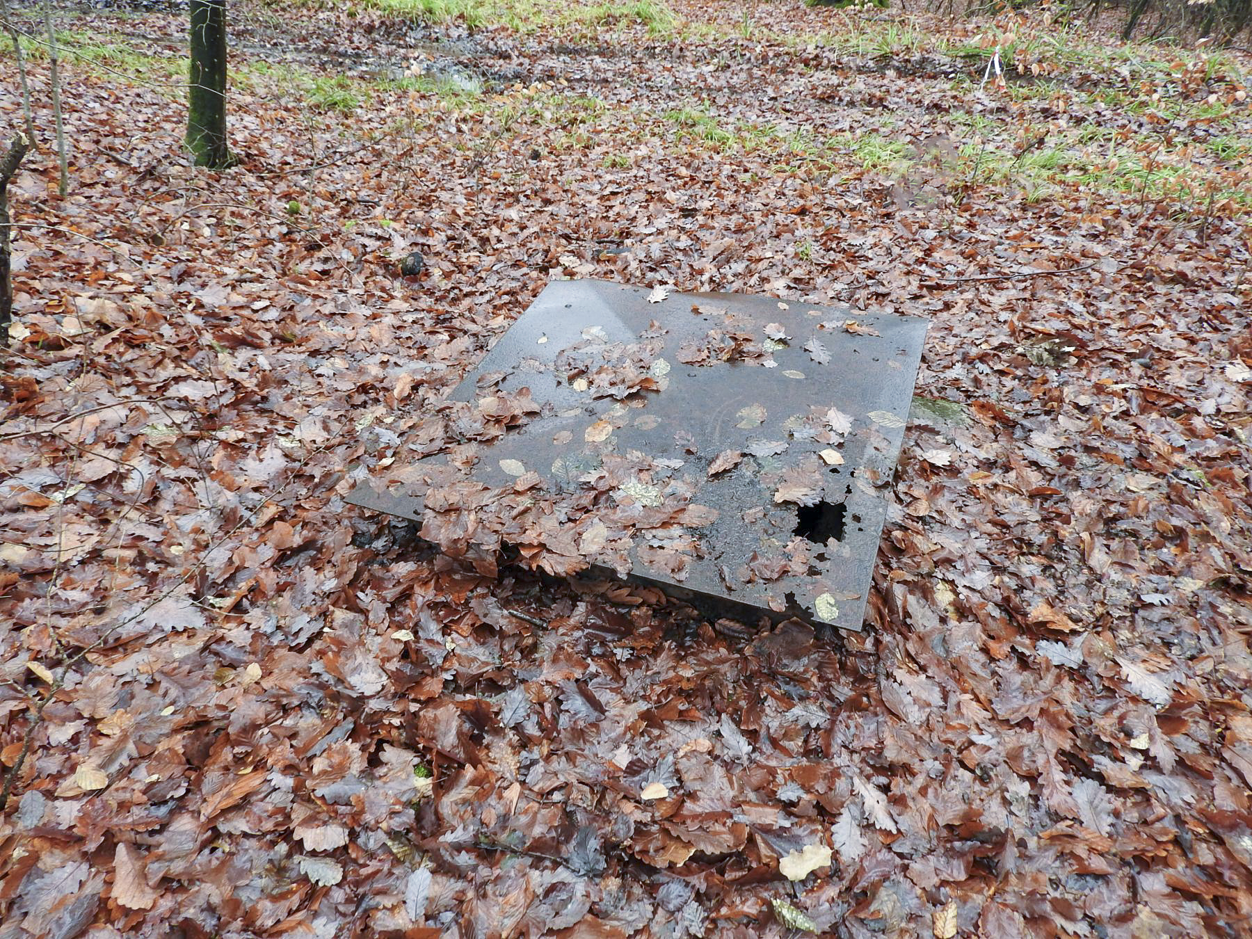 Ligne Maginot - H1 - (Chambre de coupure) -  - STENGER Mathieu