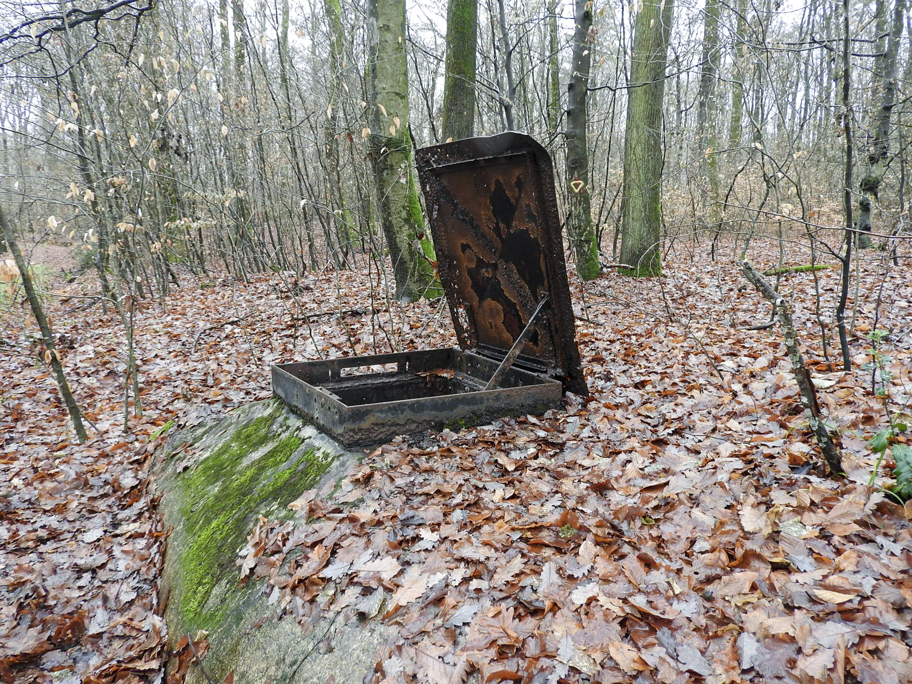 Ligne Maginot - H1 - (Chambre de coupure) -  - STENGER Mathieu