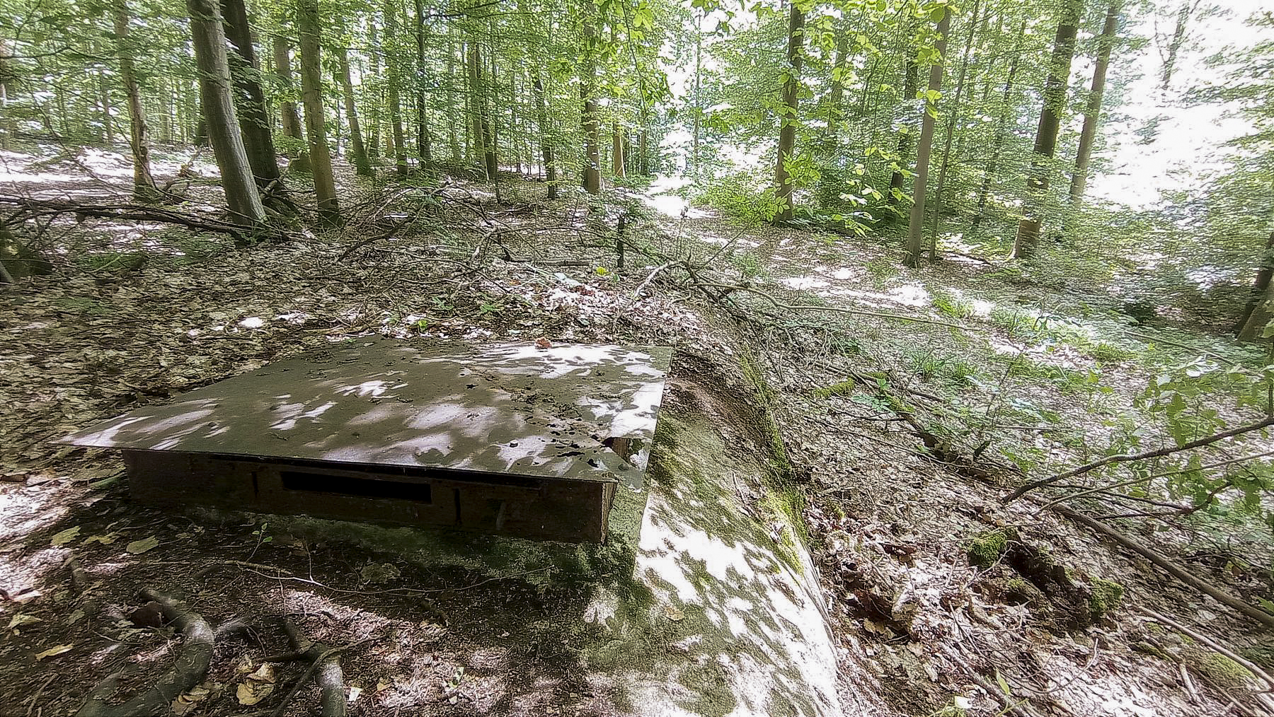 Ligne Maginot - H5 - (Chambre de coupure) - La chambre aux abords du chemin forestier  - Baptiste Gaudin 