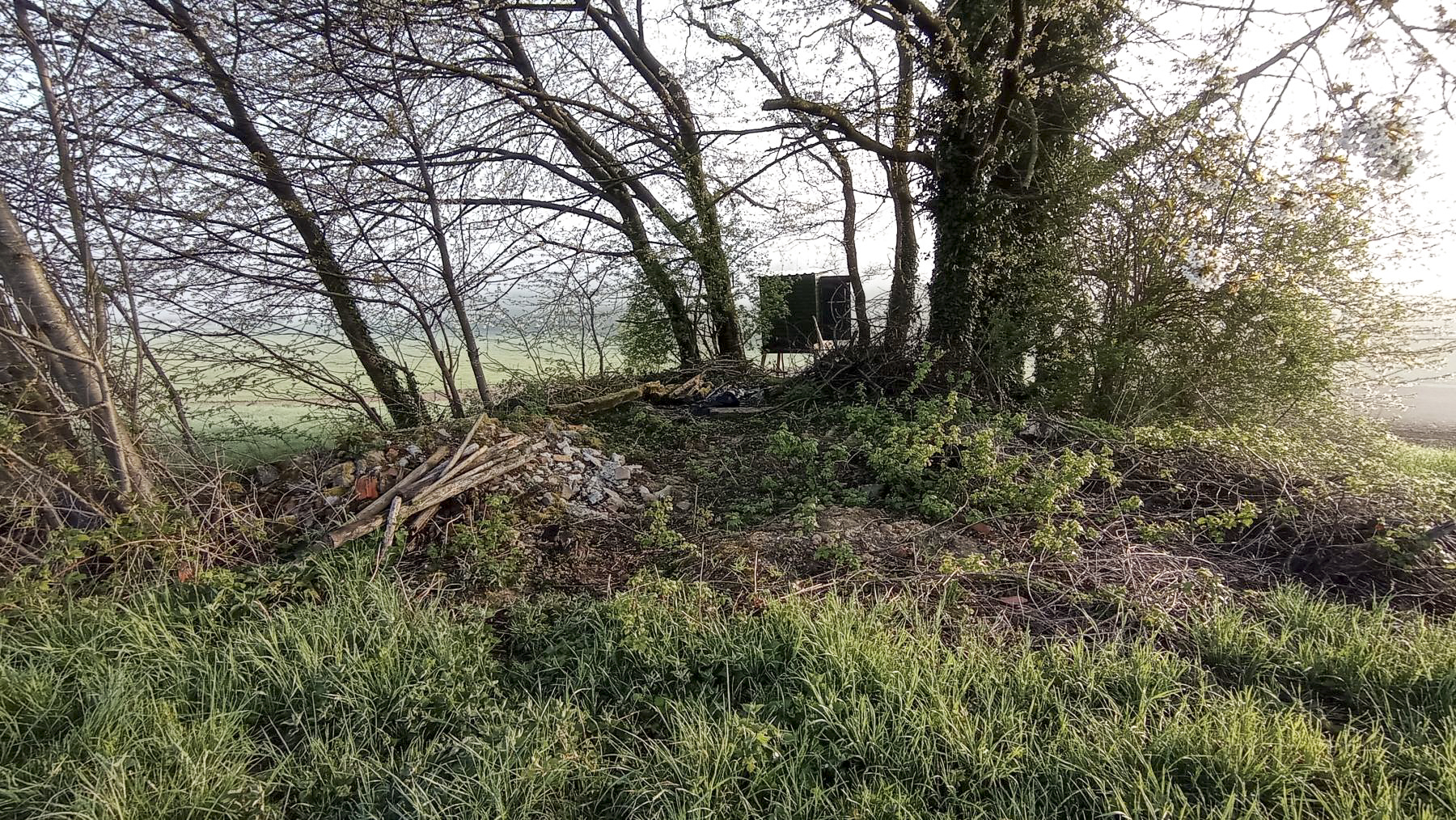 Ligne Maginot - H6 - (Chambre de coupure) - La chambre est dissimulée dans un bosquet  - Baptiste GAUDIN