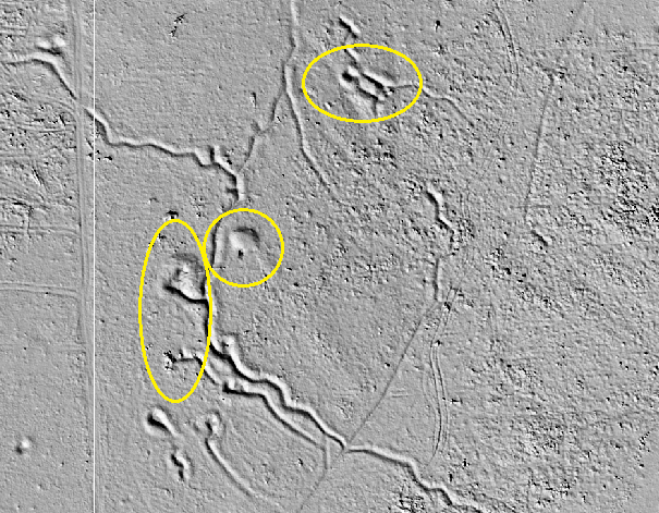 Ligne Maginot - SCHIDELBERG NORD (7° CM/II/161° RIF) - (PC de Sous-Quartier) - Vue LiDAR du PC - Jean-Michel Jolas