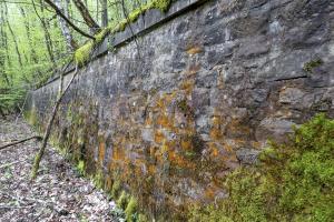 Ligne Maginot - HOCHWALD (fossé antichar du) (Obstacle antichar) - L'escarpe sur laquelle se trouve la casemate C1, à l'extrémité du fossé antichar