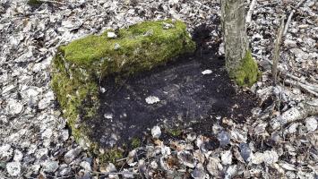 Ligne Maginot - HOCHWALD OUEST 7 - (Blockhaus pour arme infanterie) - Fragment de béton
