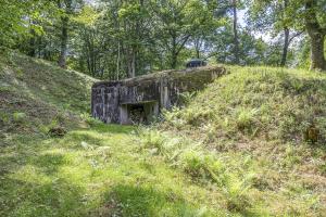 Ligne Maginot - DAMBACH SUD - C56 - (Casemate d'infanterie - Double) - Chambre de tir est
