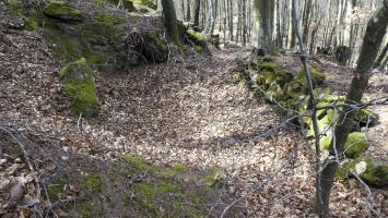 Ligne Maginot - HAUT-WARSBERG (POINT D'APPUI) - (Divers) - Tranchée périphérique

