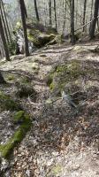 Ligne Maginot - HAUT-WARSBERG (POINT D'APPUI) - (Divers) - Tranchée périphérique
