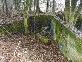 Ligne Maginot - NEUWEIHER 1 - (Blockhaus pour canon) - 