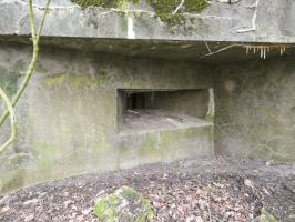 Ligne Maginot - BB8 - KOBENBERG - (Blockhaus pour canon) - Le créneau mitrailleuse vers le SO.