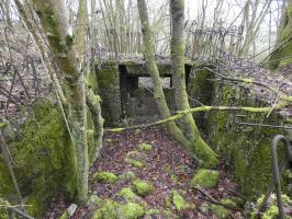 Ligne Maginot - BB320 - (Blockhaus pour canon) - La chambre de tir.