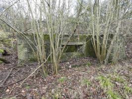 Ligne Maginot - BB320 - (Blockhaus pour canon) - La façade de tir.