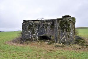 Ligne Maginot - DB123 - CROIX D'AUDUN NORD - (Blockhaus pour canon) - 