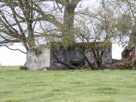 Ligne Maginot - STERNBUSCH - (Blockhaus pour arme infanterie) - Le blockhaus vu depuis le chemin de la Kreschmühl.