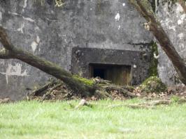 Ligne Maginot - STERNBUSCH - (Blockhaus pour arme infanterie) - L'embrasure et la trémie pour mitrailleuse.