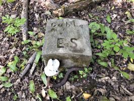 Ligne Maginot - 301A - PORT DU RHIN SUD 35 - (Blockhaus pour arme infanterie) - Vestiges de le voie ferrée qui bordait le blockhaus
Borne 'câble ES' et isolateur de ligne aérienne